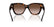 BURBERRY 4489U 300213 - Brown Cat-Eye Sunglasses for Women - back view