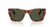 PERSOL 3384S 24/31 - Brown Wayfarer Sunglasses for Men - front view