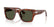 PERSOL 3384S 24/31 - Brown Wayfarer Sunglasses for Men