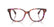 RALPH 7196U 6239 - Brown Square Eyeglasses for Women - front view