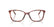 DOLCE & GABBANA 3424 3444 - Brown Cat-Eye Eyeglasses for Women - view 4