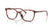 DOLCE & GABBANA 3424 3444 - Brown Cat-Eye Eyeglasses for Women