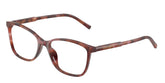 DOLCE & GABBANA 3424 3444 - Brown Cat-Eye Eyeglasses for Women - view 6