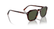 PERSOL 3292S 24/31 - Brown / Torto Square Sunglasses for Men