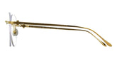 CARTIER CT0342 - 002