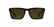 CALVIN KLEIN JEANS 25617S 242 - Brown / Torto Rectangle Sunglasses for Men