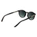 CALVIN KLEIN 24539S 235 - Brown / Torto Round Sunglasses for Men