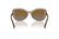 VOGUE 5515SB - 2940/T5