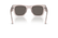 PERSOL 3384S 1229B1 - Brown / Torto Wayfarer Sunglasses for Men