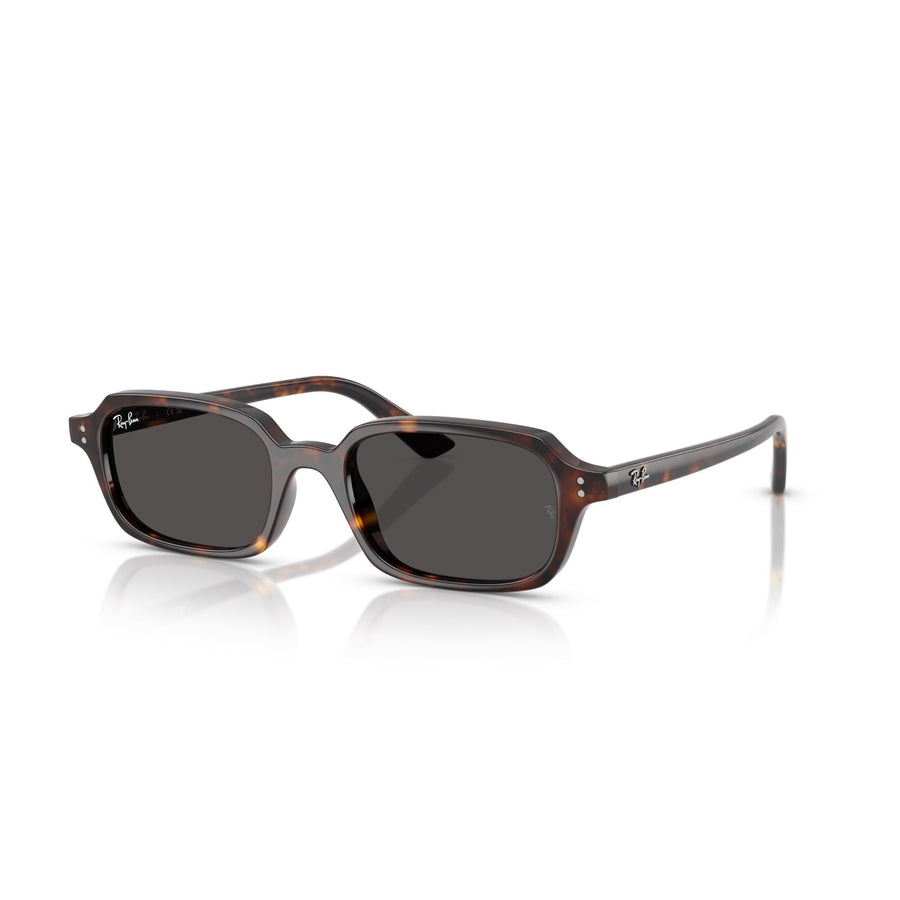 RAY BAN 4455 135987 - Brown Square Sunglasses for Men
