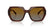 VOGUE 5612SB - 2571T5