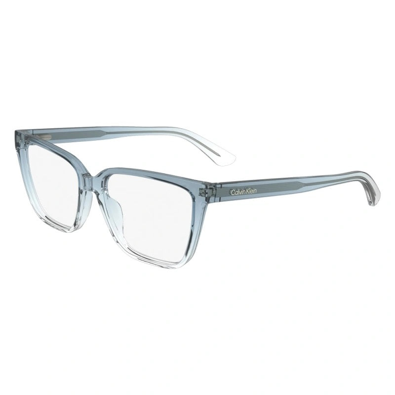 CALVIN KLEIN 24524 - 413