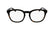 CALVIN KLEIN JEANS 24636+CLIP 210 - Brown / Torto Square Eyeglasses for Men