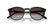 POLO RALPH LAUREN 4110 50018G - Black Round Sunglasses for Men