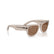 RAY BAN 0840S 68701A - Brown Wayfarer Sunglasses for Men