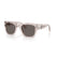 PERSOL 3384S 1229B1 - Brown / Torto Wayfarer Sunglasses for Men