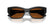 VOGUE 5658SU W44/73 - Black Cateye Sunglasses for Women