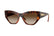 VOGUE 5607S 271883 - Brown / Torto Cateye Sunglasses for Women