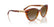 VOGUE 5634SB - 1508T5