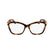 CALVIN KLEIN 25513 240 - Brown / Torto Cateye Eyeglasses for Men