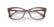 RAY BAN 5433 8292 - Brown / Torto Cateye Eyeglasses for Women