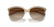 RALPH LAUREN 5245 580213 - Brown / Torto Cateye Sunglasses for Women