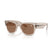 RAY BAN 0840S 68701A - Brown Wayfarer Sunglasses for Men