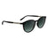 CALVIN KLEIN 24539S 235 - Brown / Torto Round Sunglasses for Men