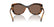 VOGUE 5515SB - W65673