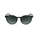 CALVIN KLEIN 24539S 235 - Brown / Torto Round Sunglasses for Men