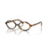 MIU MIU 01XV VAU1O1 - Brown / Torto Oval Eyeglasses for Women