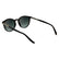CALVIN KLEIN 24539S 235 - Brown / Torto Round Sunglasses for Men