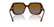 VOGUE 5612SB - 2571T5