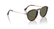PERSOL 3383S 24/58 - Brown / Torto Round Sunglasses for Men