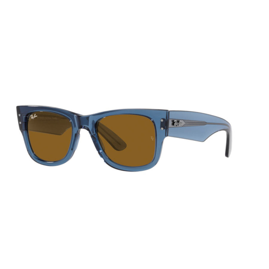 RAY BAN 0840S - 6680/73