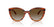 VOGUE 5634SB - 1508T5