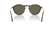 PERSOL 3383S 24/58 - Brown / Torto Round Sunglasses for Men