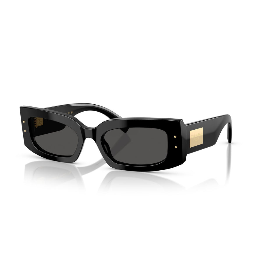 DOLCE & GABBANA 4479 - 501/87