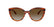 VOGUE 5634SB - 1508T5