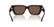 VERSACE 4497U 554373 - Brown / Torto Cateye Sunglasses for Women