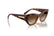 VOGUE 5607S 271883 - Brown / Torto Cateye Sunglasses for Women