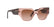 VOGUE 5409S - 282813