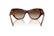 VOGUE 5607S 271883 - Brown / Torto Cateye Sunglasses for Women