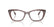 RAY BAN 5433 8292 - Brown / Torto Cateye Eyeglasses for Women