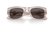 PERSOL 3384S 1229B1 - Brown / Torto Wayfarer Sunglasses for Men