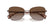 RALPH 4146 - 9427T5