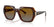 VOGUE 5612SB - 2571T5